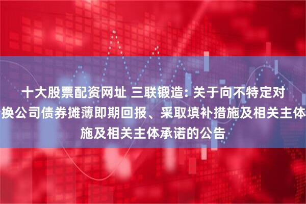 十大股票配资网址 三联锻造: 关于向不特定对象发行可转换公司债券摊薄即期回报、采取填补措施及相关主体承诺的公告